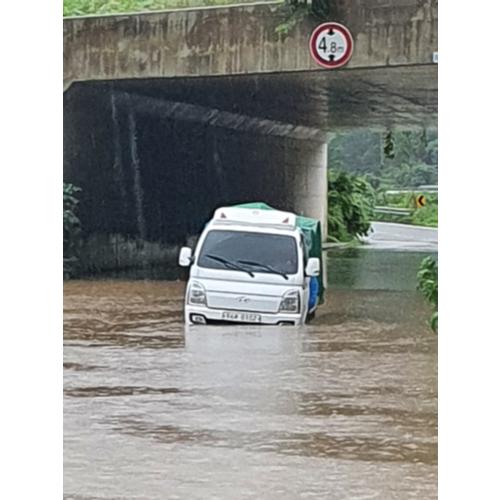 선수사진