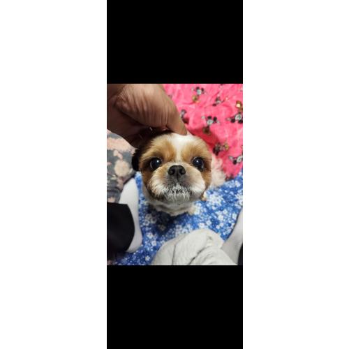 이민기